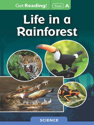 cover image of Life in a Rainforest